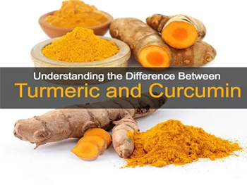 Curcumin Powder vs Turmeric Powder